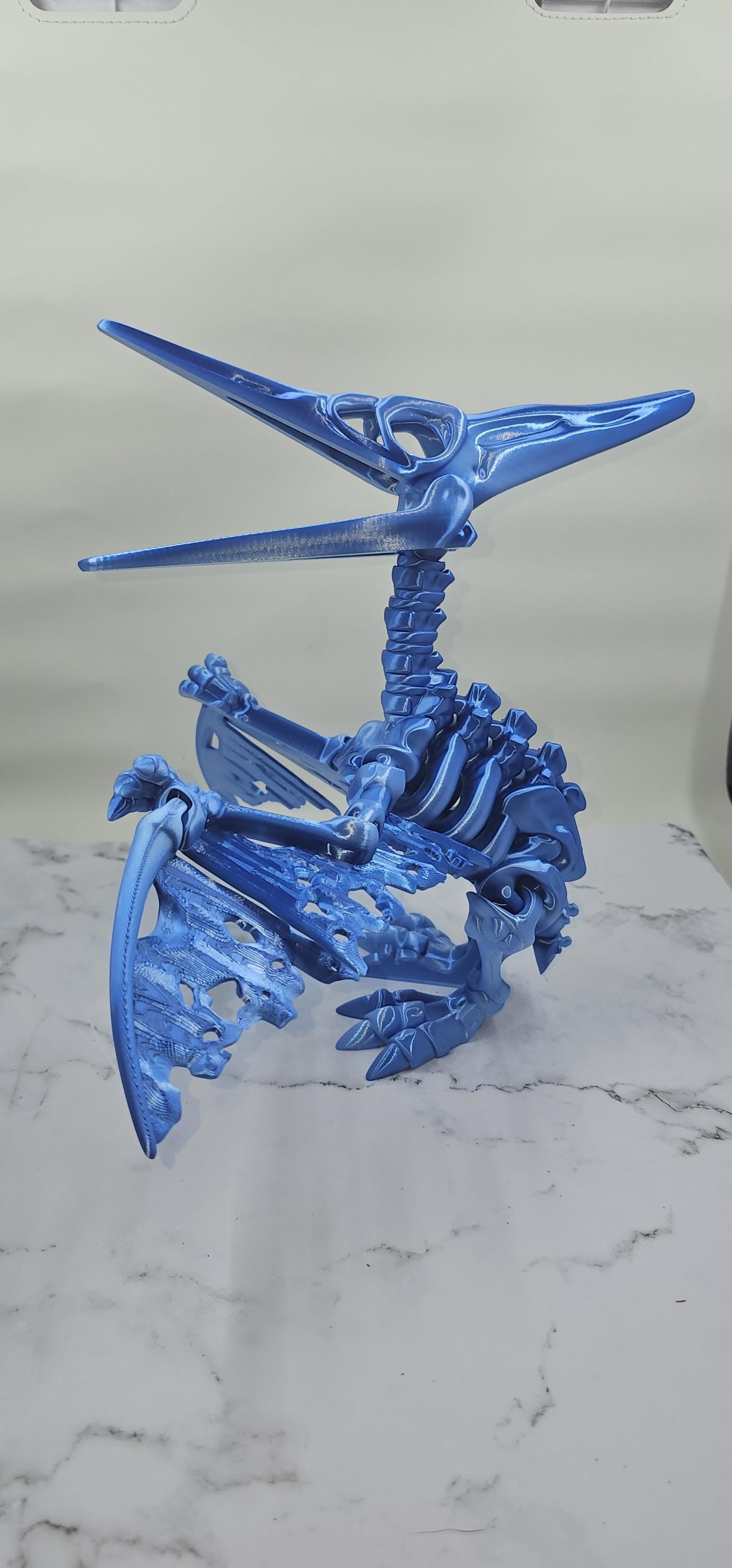 Large Pterodactyl / Pteranodon Skeleton 3D Print – Articulating Flexi Desk Toy – Single Color, Larger Size, Fidget Fun! Flexi Factory Design