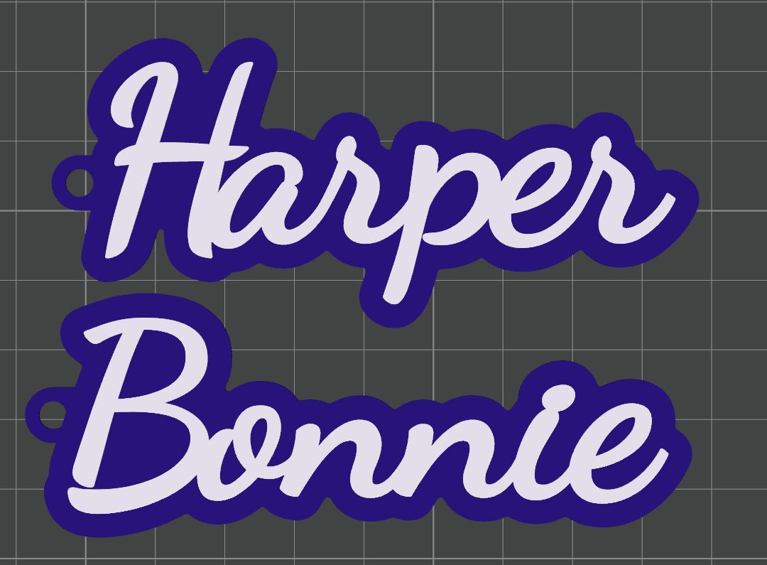 Bag Tag Customizable 3D printed Name Tag for School Bag