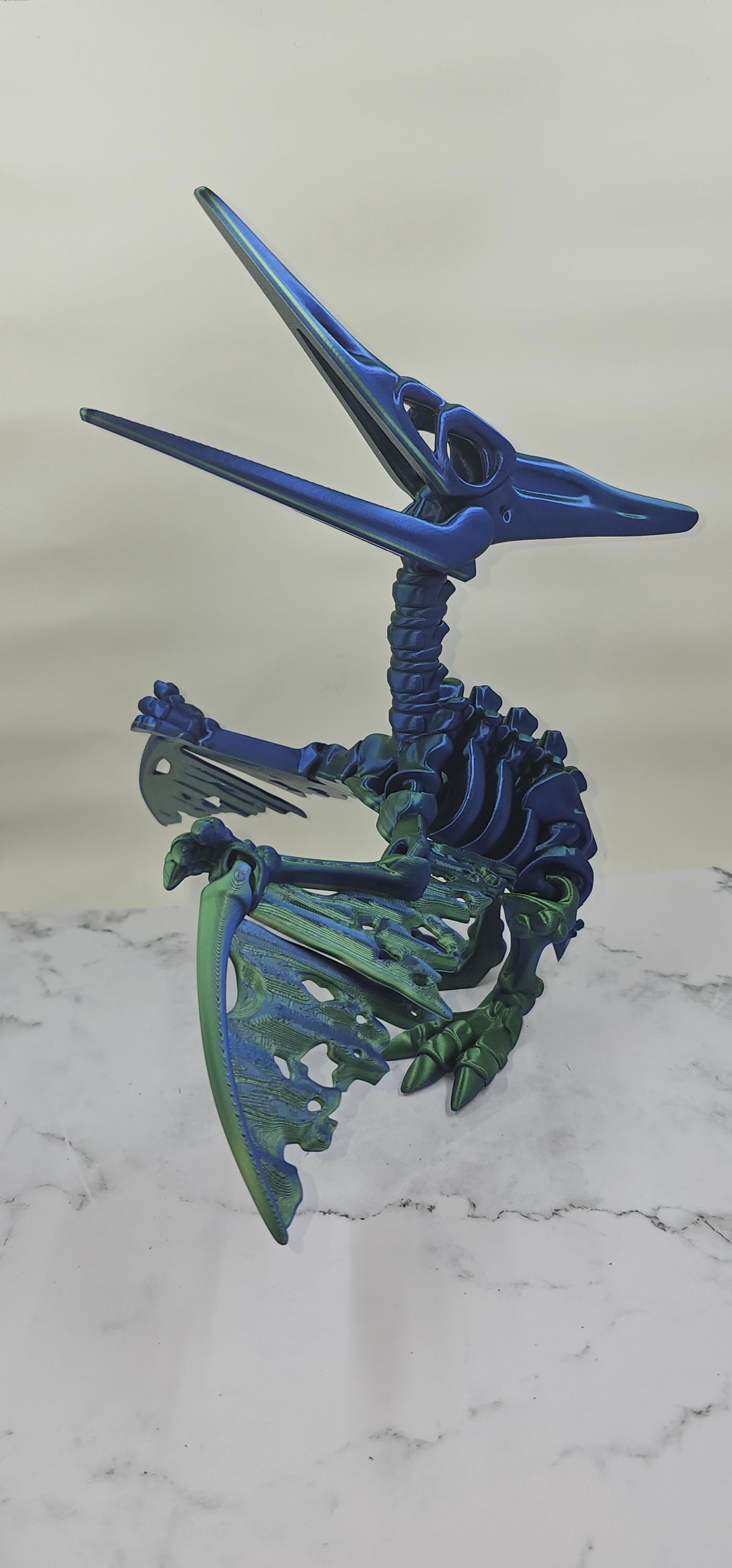 Large Pterodactyl / Pteranodon Skeleton 3D Print – Articulating Flexi Desk Toy – Single Color, Larger Size, Fidget Fun! Flexi Factory Design